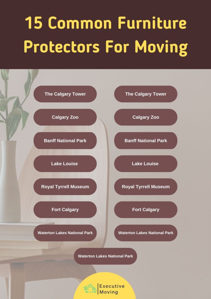 15 Common Furniture Protectors for Moving