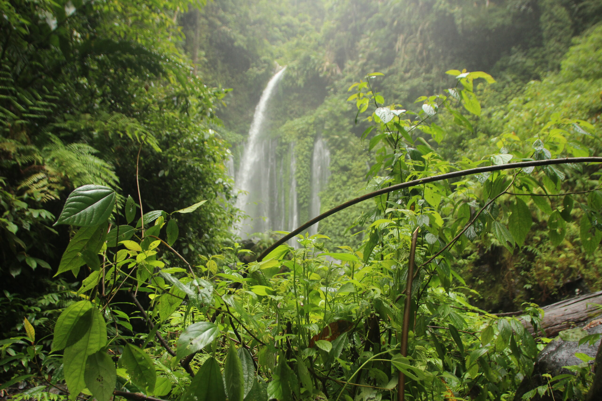 when moving from canada to costa rica