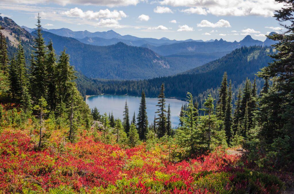 outdoor view when moving to british columbia