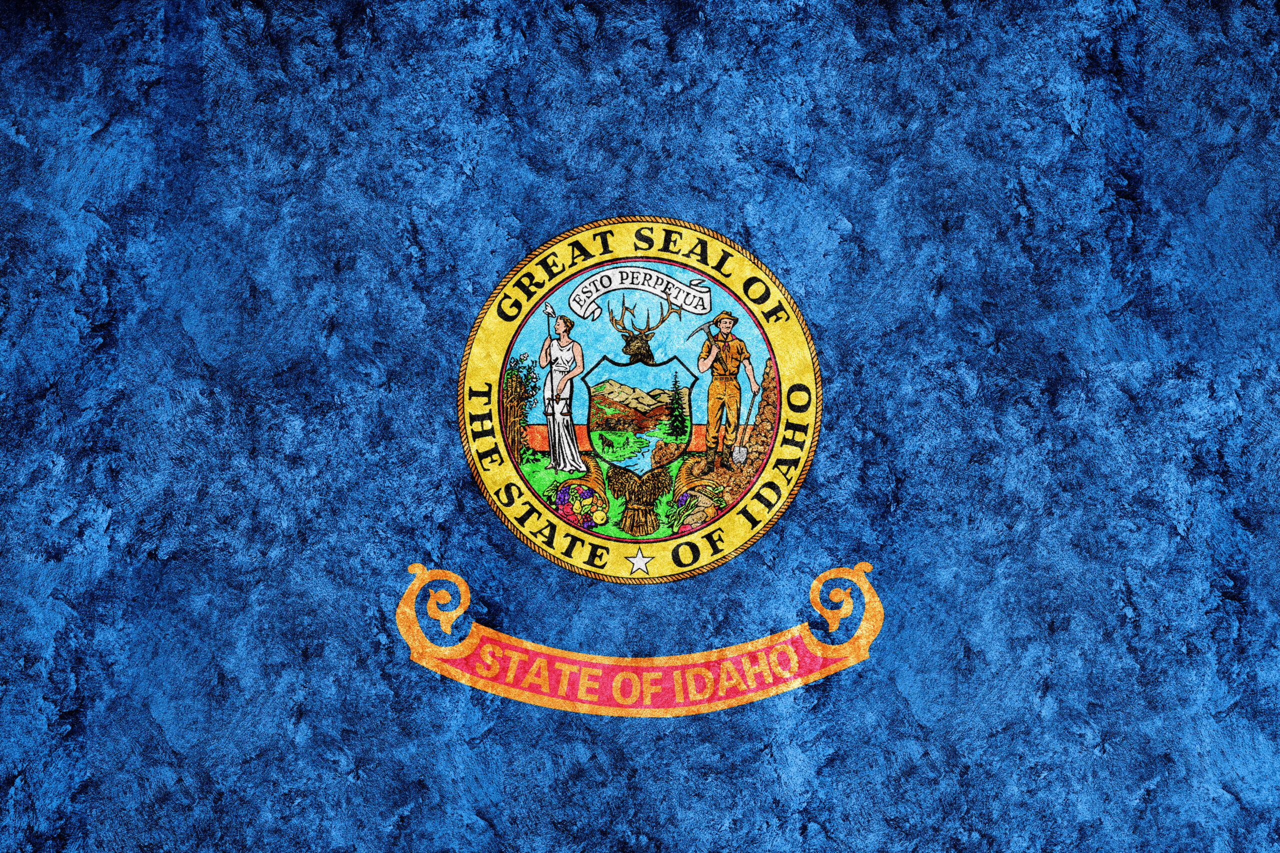 state flag when moving to idaho