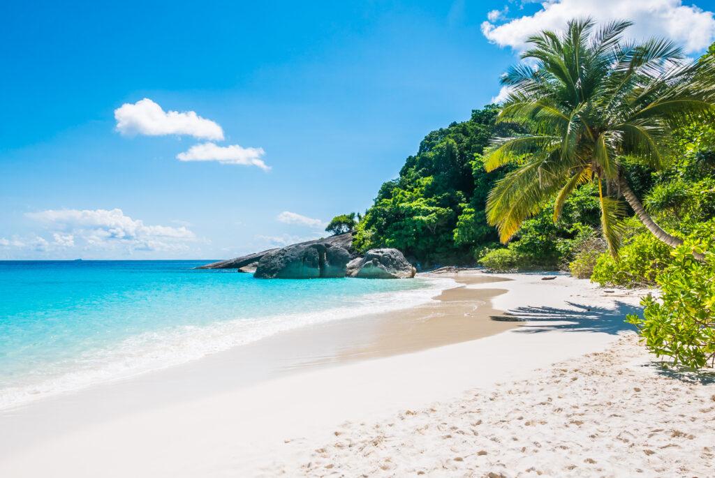 beautiful beach in hawaii