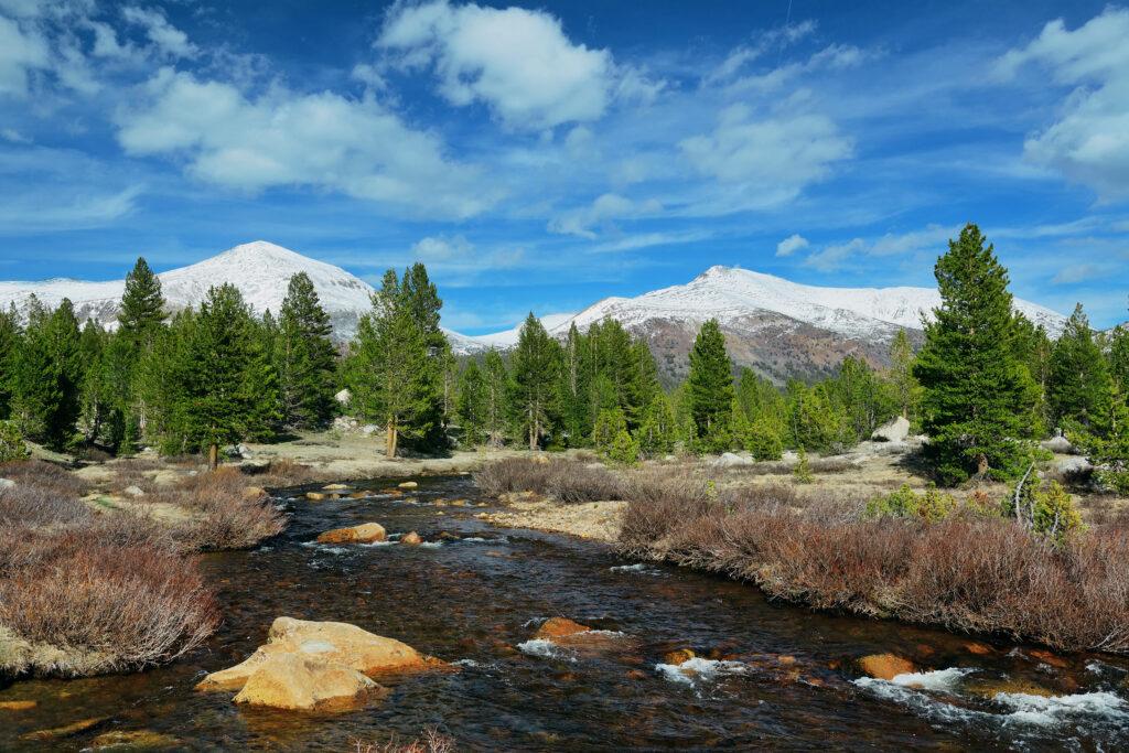 beautiful forest and river view when moving to colorado