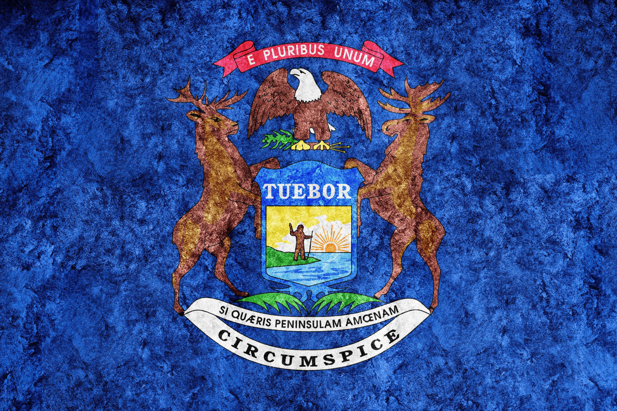 state flag when moving to Michigan
