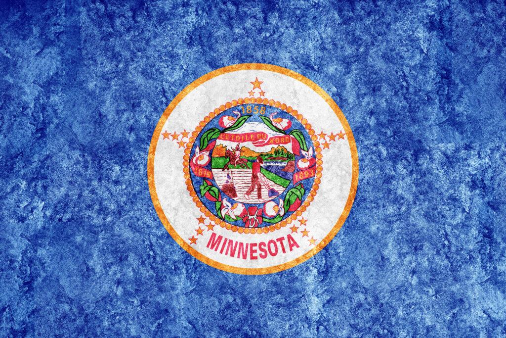 state flag when moving to Minnesota