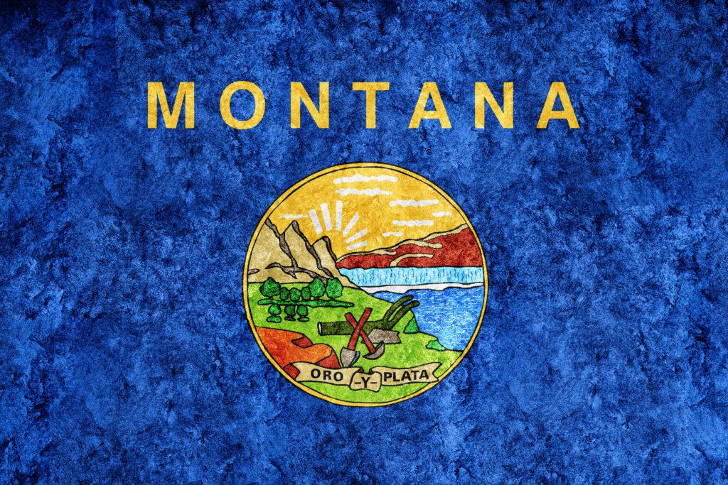 state flag when moving to montana