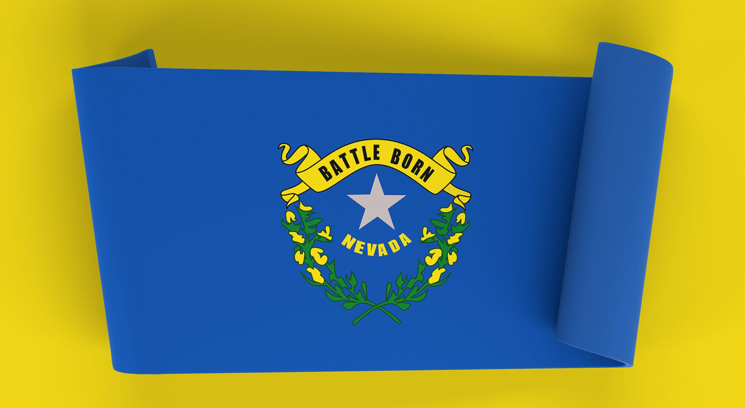state flag when moving to nevada