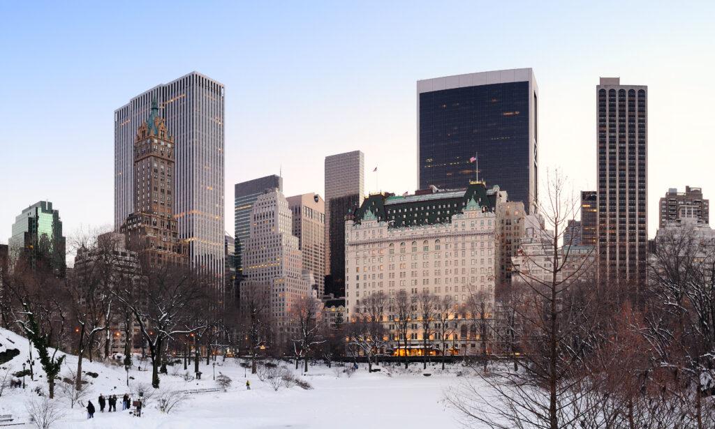 winter in nyc park