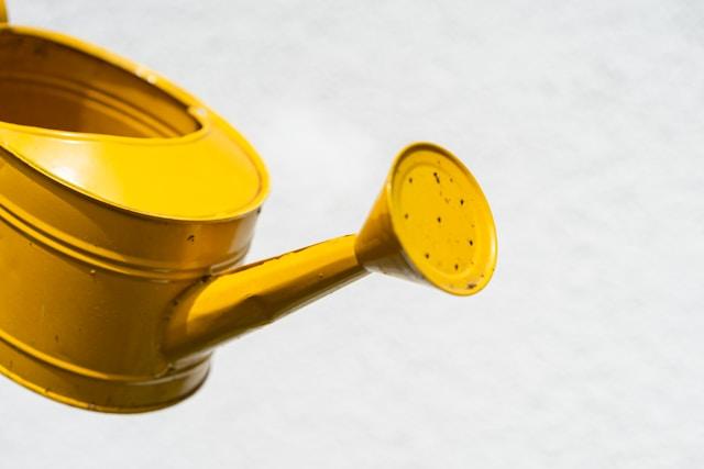 Yellow watering can that you need to use if you want to move plants safely