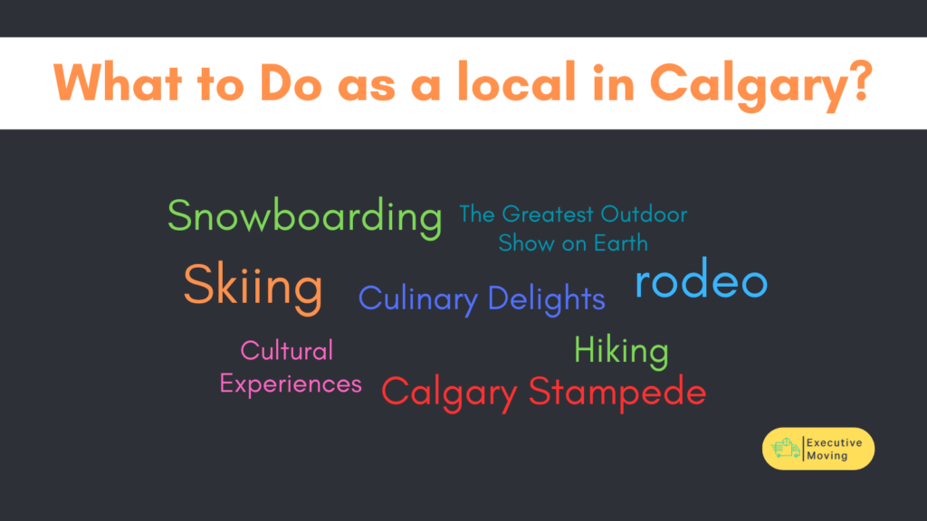 What to Do as a Local in Calgary